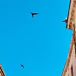 Via Dell'azzurra 住宿加早餐酒店