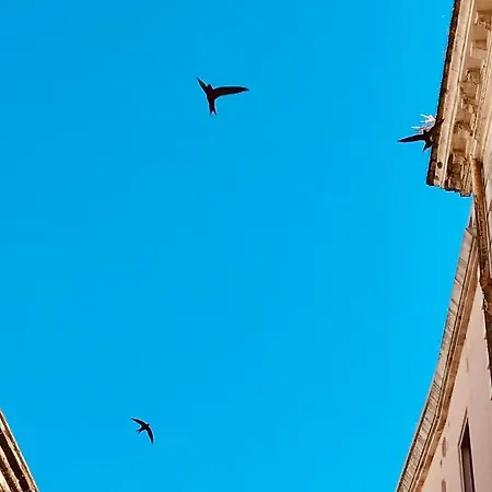 Via Dell'azzurra Bed & Breakfast